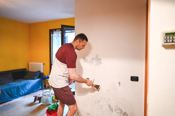 Best Residential Mold Remediation in Rushford, MN